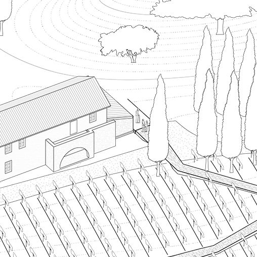 Vernacular Stone Wine-experiencecentre embedded into a Tuscany Heritage winery and vineyard Arcaded stone farmhouse renovation in Tuscany with biobased materials by Eclective Studio.