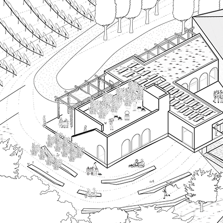 Vernacular Stone Wine-experiencecentre embedded into a Tuscany Heritage winery and vineyard Arcaded stone farmhouse renovation in Tuscany with biobased materials by Eclective Studio.