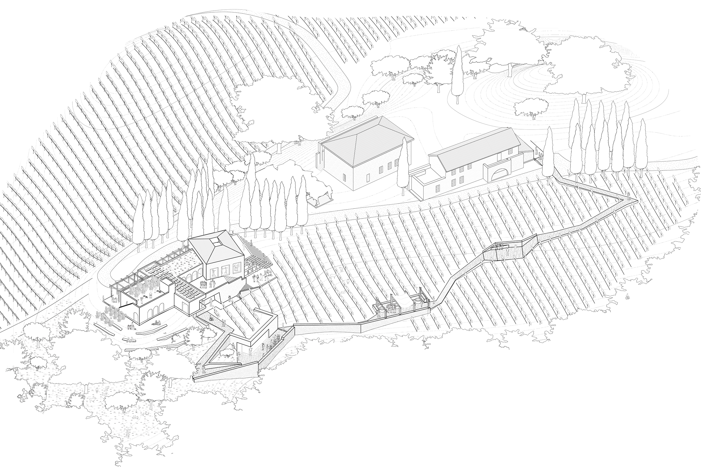 Vernacular Stone Wine-experiencecentre embedded into a Tuscany Heritage winery and vineyard Arcaded stone farmhouse renovation in Tuscany with biobased materials by Eclective Studio.